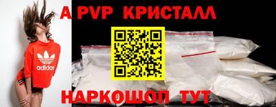 хмурый Кингисепп