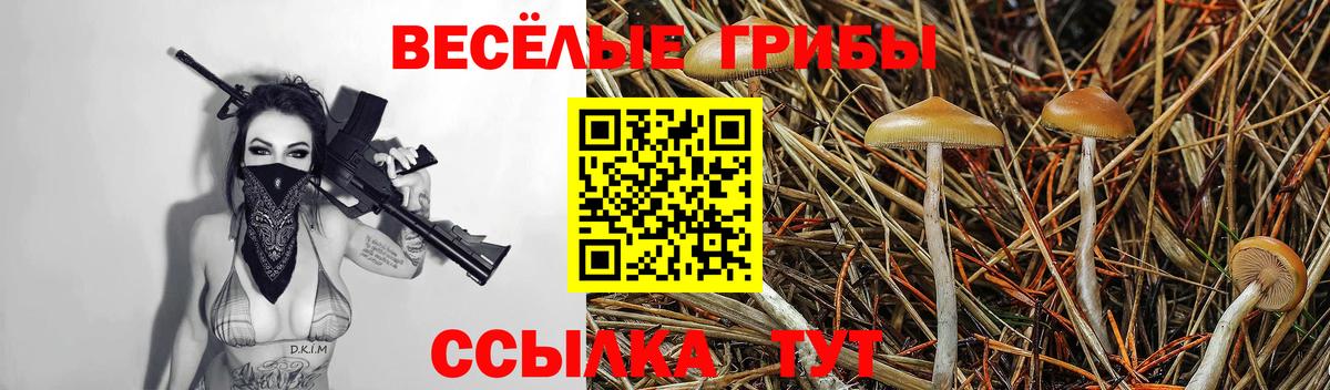 Псилоцибиновые грибы ЛСД  Вход с VPN  Ярцево 